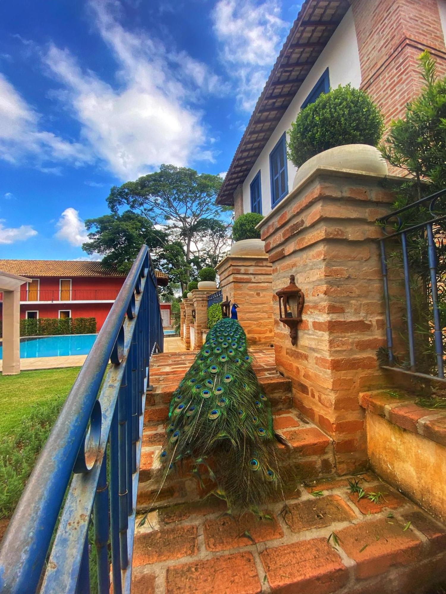 Hotel Fazenda Sao Silvano Morungaba Exterior photo